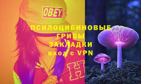 гашик Медвежьегорск